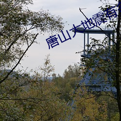 唐山大地震有多少年了