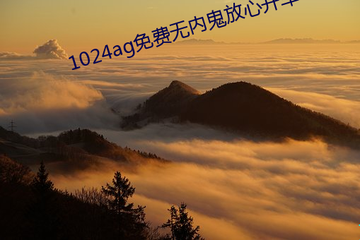 1024ag免(免)费无内鬼放心开车