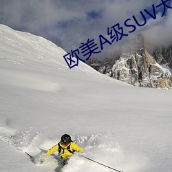 欧美A级SUV大(dà)全