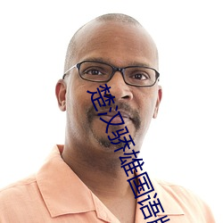 楚汉骄雄国语版免费观看