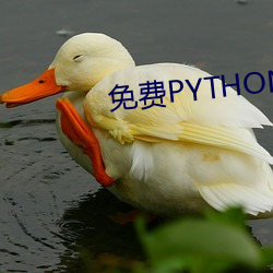 PYTHON߹ۿ ף