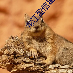 龙江盈信星光电(diàn)影院