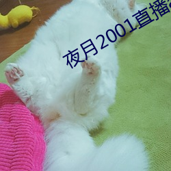 夜月2001直播app