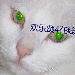 欢乐颂4在线观看免费版高