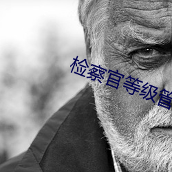 检察官等级管理办法试行 （乐儿）