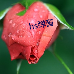 hs弹窗