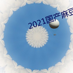 2021国产(chǎn)麻豆剧ý入口