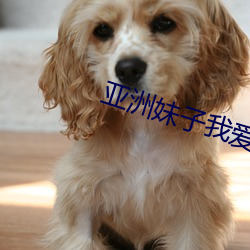 亚洲妹子我爱你