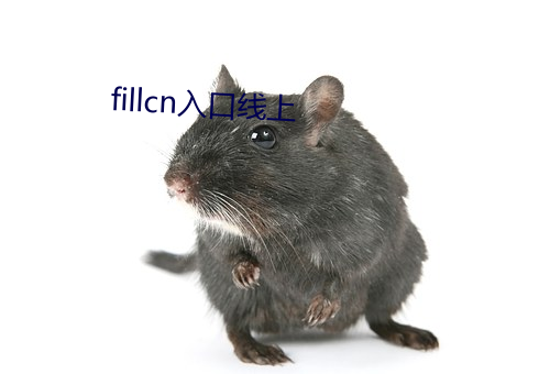 fillcn入口線上