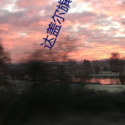 达盖尔旗帜地址ty66