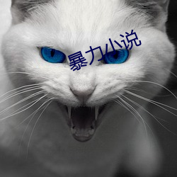 暴力(lì)小(xiǎo)说