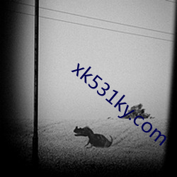 xk531ky.com