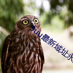9uu最新域址永久