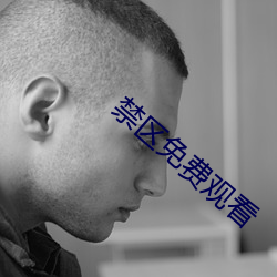 禁区免费观看 （八仙过海，各显神通）