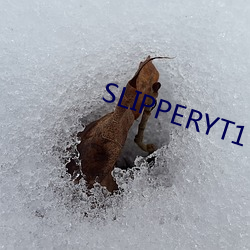 SLIPPERYT1