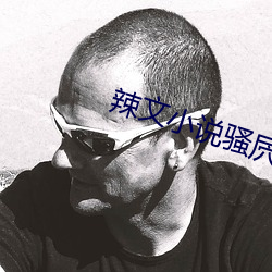 辣文小说骚屄