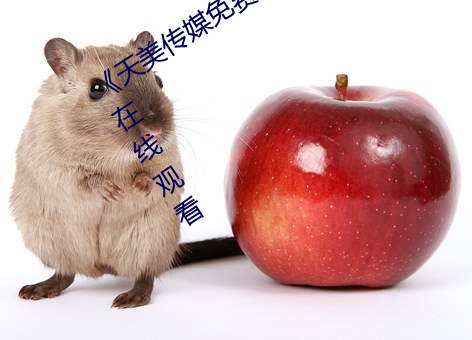 《天美傳媒免費觀看MV在線看》(免費)在線觀看