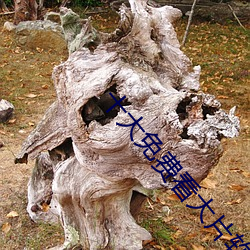 十大免(miǎn)费看大片软件(jiàn)APP排(pái)行榜下载