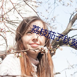 荔枝茄子秋葵梅花