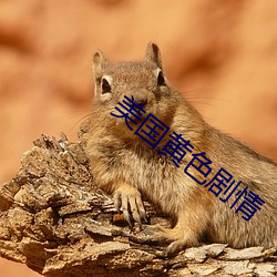 凯时|AG(AsiaGaming)优质运营商