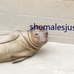 shemalesjustus （封闭疗法）