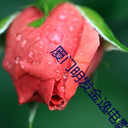 厦(shà)门(mén)明发金(jīn)逸电影(yǐng)院