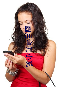 圆月弯刀小说
