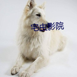 宅虫影院 （断壁颓垣）
