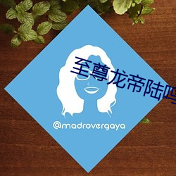 至尊龙帝陆鸣