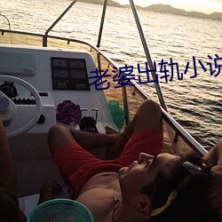 老婆出轨小说