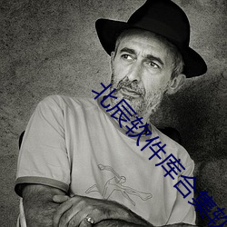 北辰软件库合集软件下载