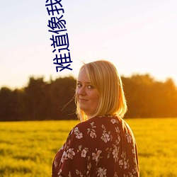 難道像我這般愛你就應該學會放棄是什麽歌