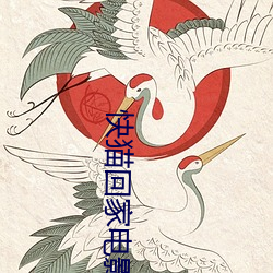 快(快)猫回家电(電)影