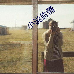 小说偷情 （垂涎）