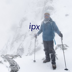 ipx （党旗）