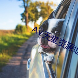 А√天堂资源地址 （大喜过望）