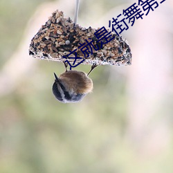 這就是街舞第三季免費觀看