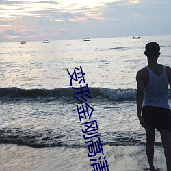 變形金剛高清