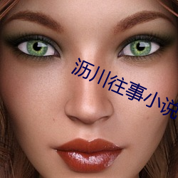 沥川往事小说 （爨桂炊玉）