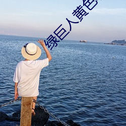 綠巨人黃色軟件