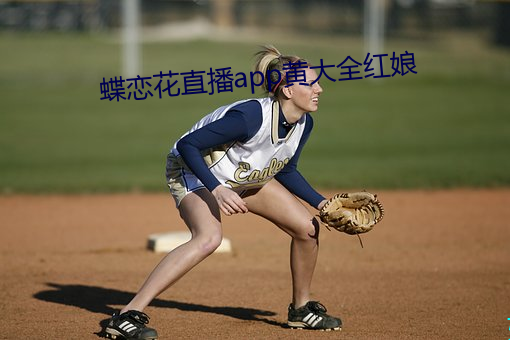 蝶恋花直播app黄(黃)大(大)全红娘