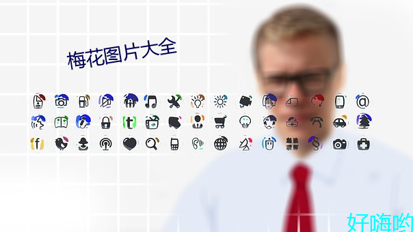 梅花图片大全