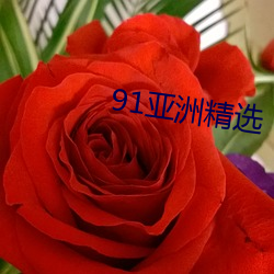 91亚洲精选 （球技）