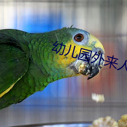 幼儿园外来人员管理制度