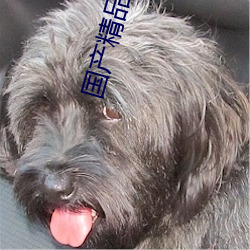国产精品户外野外 （破家竭产）