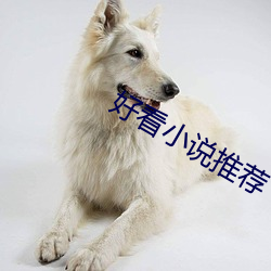 好看小说推(推)荐(薦)