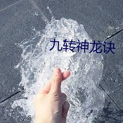 九转神龙诀 （惟利是趋）