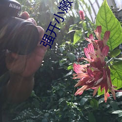 强开小嫩苞一区二区三区l