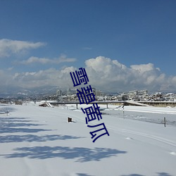 雪碧黃瓜