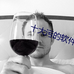 十大污的软件(jiàn)